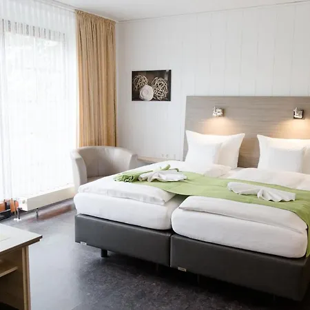 Hotel Friesen 3*