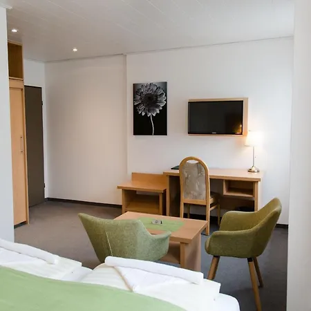 Hotel Friesen 3*