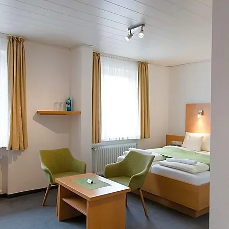 Hotel Friesen 3*