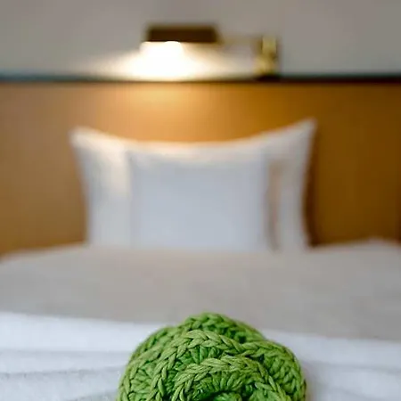 Hotell Friesen 3*