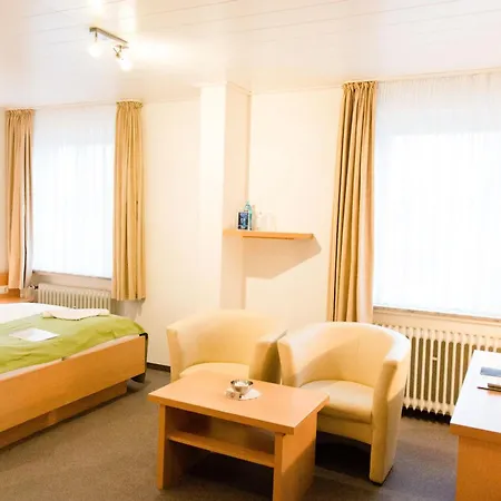 Hotel Friesen 3*