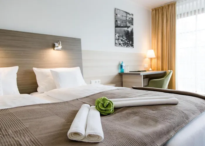 Отель Friesen 3*