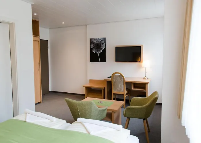 Отель Friesen 3*