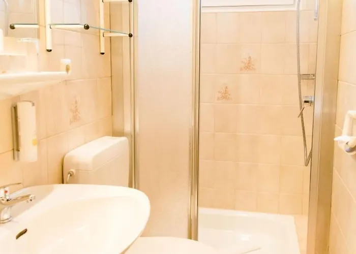 Отель Friesen 3*