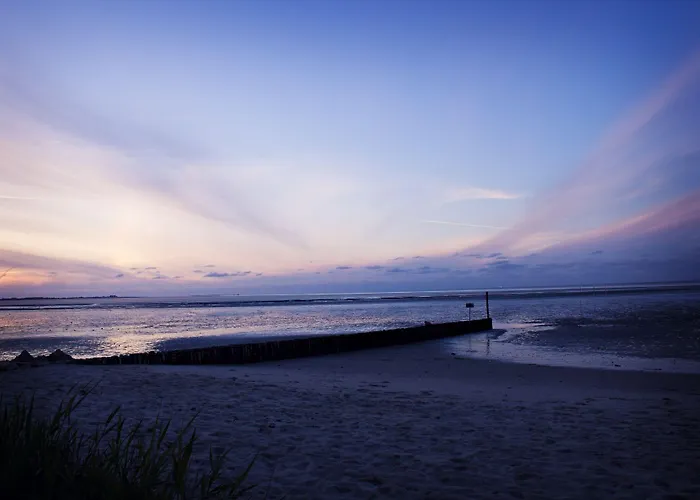 Отель Friesen 3*