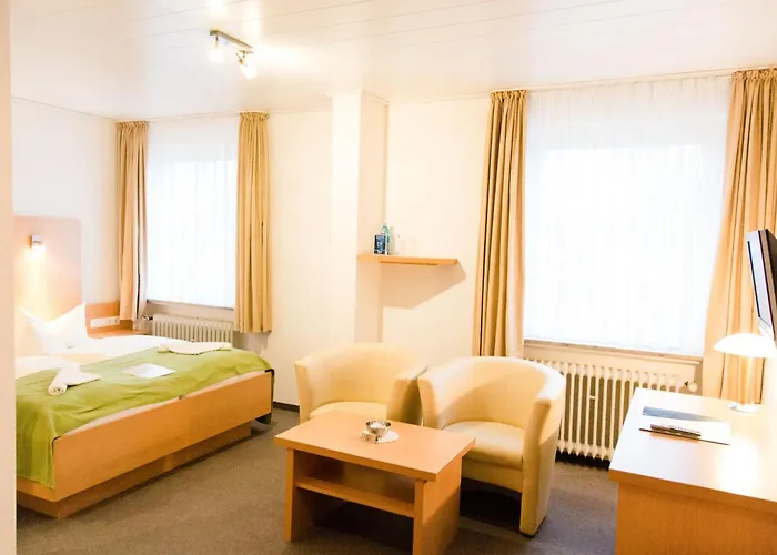 Отель Friesen 3*